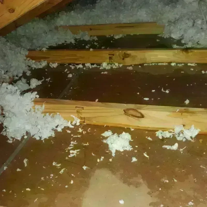 Attic Water Damage in Cordell, OK