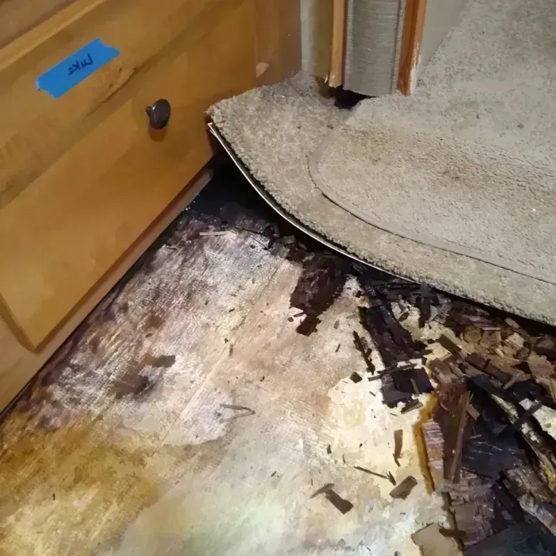 Wood Floor Water Damage in Cordell, OK